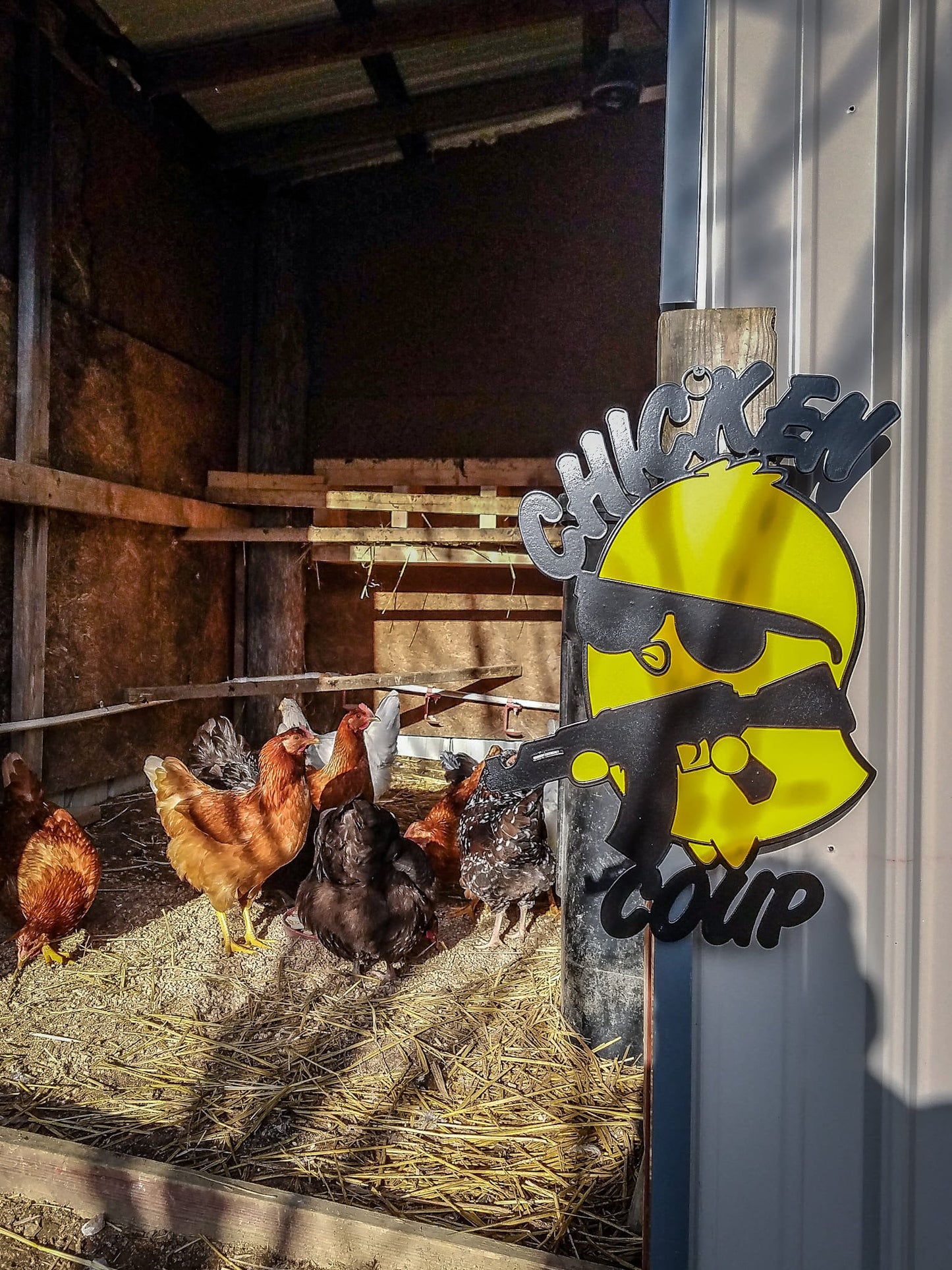 Chicken Coup - Dxf and Svg